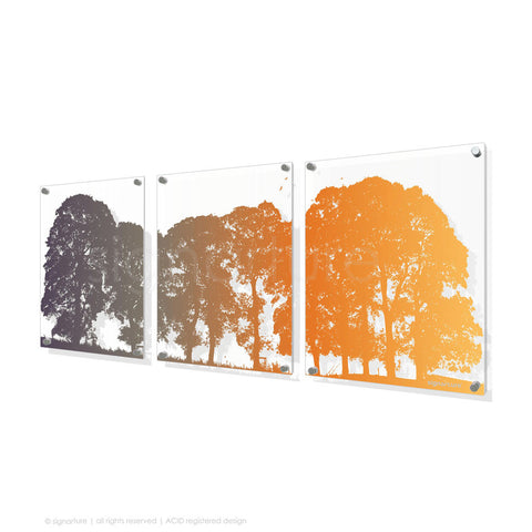 tree perspex art aberfeldy orange triptych