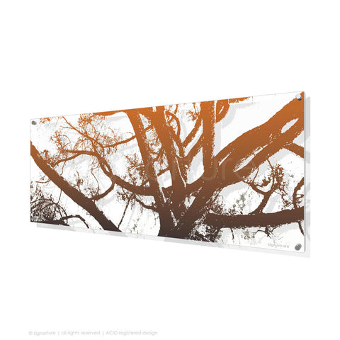 tree perspex art balmoral orange panoramic