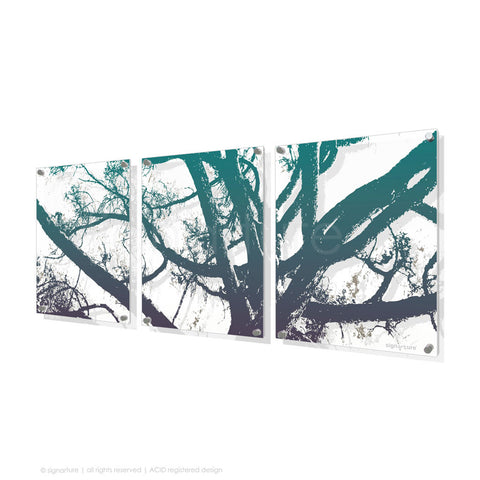 tree perspex art balmoral blue triptych
