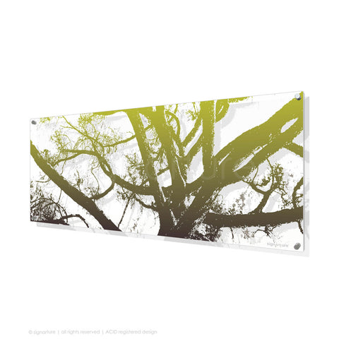 tree perspex art balmoral green panoramic