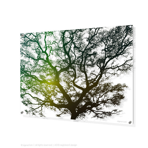 tree perspex art burrawang green rectangular