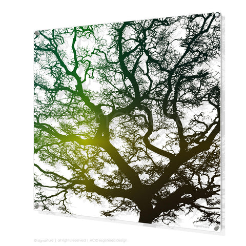 tree perspex art burrawang green square