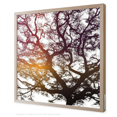 [TK Test] burrawang perspex art [44S] [COPY]