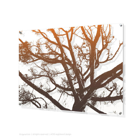 tree perspex art balmoral orange rectangular