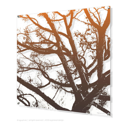 tree perspex art balmoral orange square
