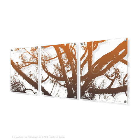 tree perspex art balmoral orange triptych