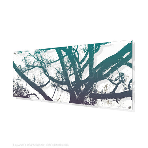 tree perspex art balmoral blue panoramic