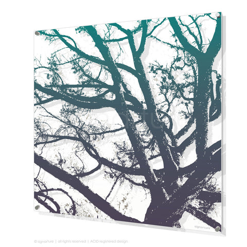 tree perspex art balmoral blue square