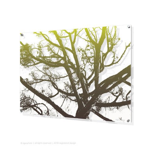 tree perspex art balmoral green rectangular