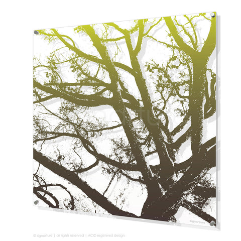 tree perspex art balmoral green square