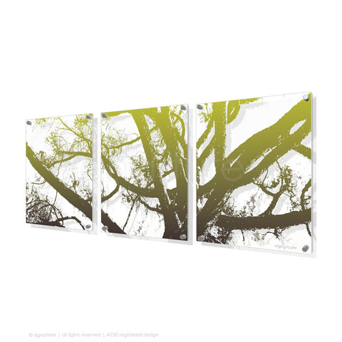 tree perspex art balmoral green triptych