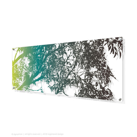 tree perspex art blackheath blue panoramic