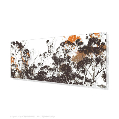 tree perspex art braidwood orange panoramic