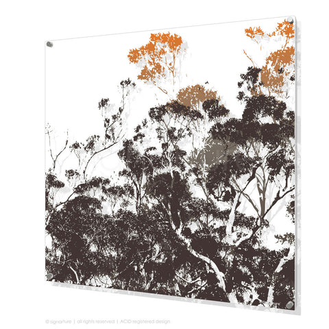 tree perspex art braidwood orange square