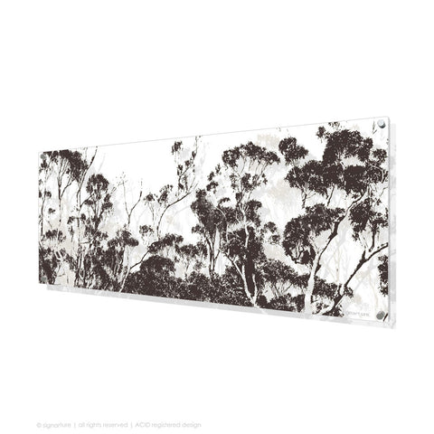 tree perspex art braidwood brown panoramic