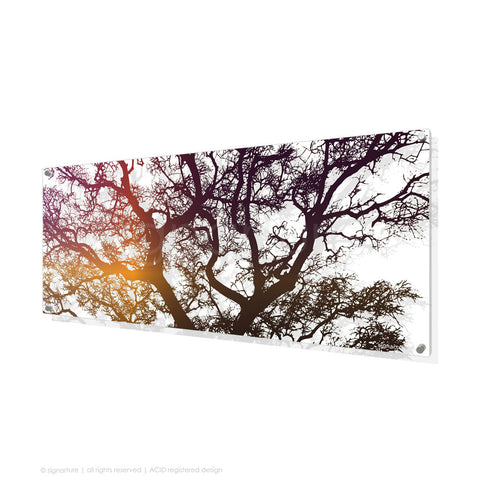 tree perspex art burrawang magenta panoramic