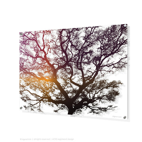 tree perspex art burrawang magenta rectangular