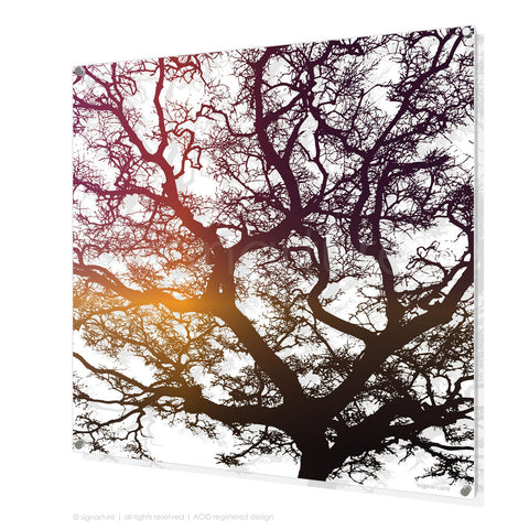tree perspex art burrawang magenta square