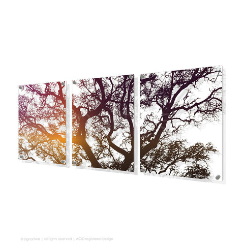 tree perspex art burrawang magenta triptych