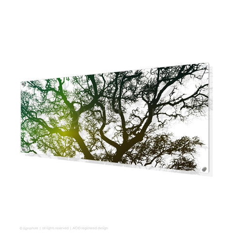 tree perspex art burrawang green panoramic