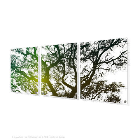 tree perspex art burrawang green triptych