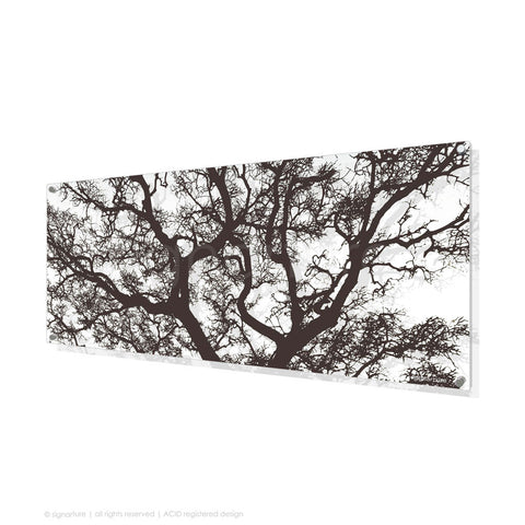 tree perspex art burrawang brown panoramic
