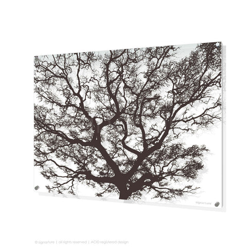 tree perspex art burrawang brown rectangular