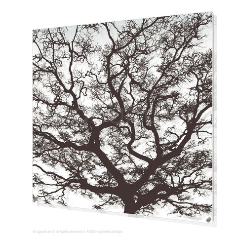 tree perspex art burrawang brown square
