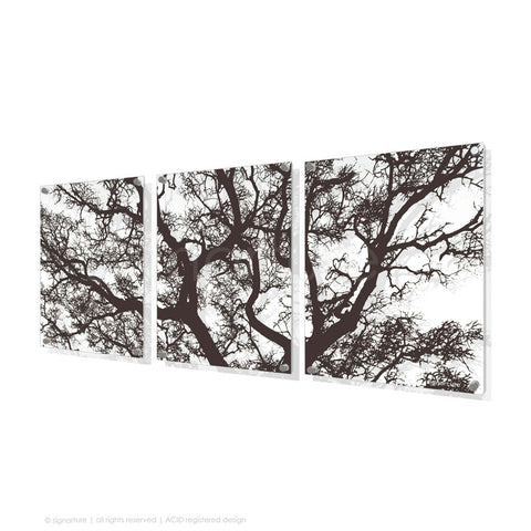tree perspex art burrawang brown triptych