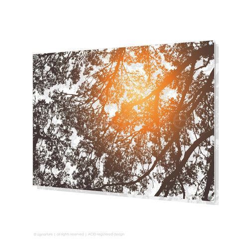 tree perspex art gleneagles orange rectangular