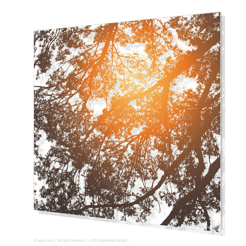 tree perspex art gleneagles orange square
