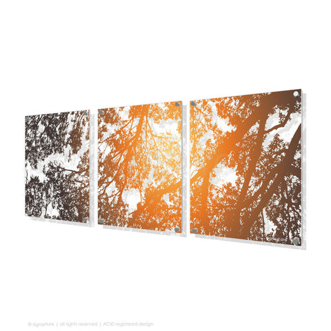tree perspex art gleneagles orange triptych