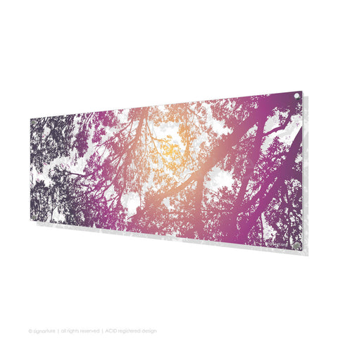 tree perspex art gleneagles purple panoramic