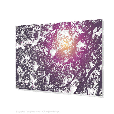 tree perspex art gleneagles purple rectangular