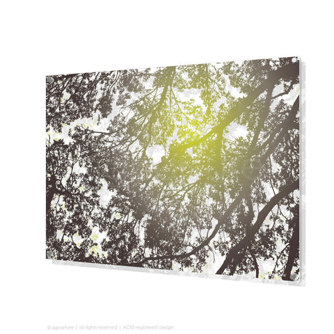 tree perspex art gleneagles green rectangular
