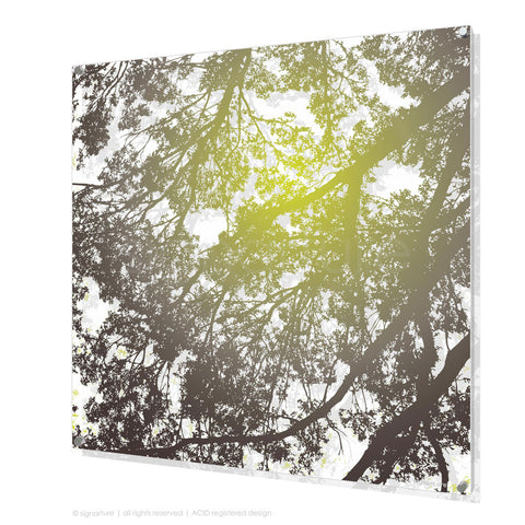 tree perspex art gleneagles green square